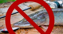 Определены сроки и условия запрета рыбалки в Весьегонске-2019