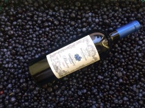 Скоро новый розлив прекрасного фирменного вина "Goodberry Premium Голубика"!