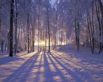Весьегонск ждет любителей зимнего отдыха